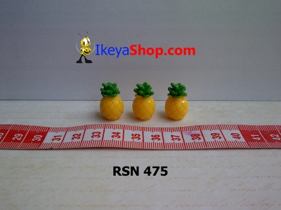 rsn 475  large2